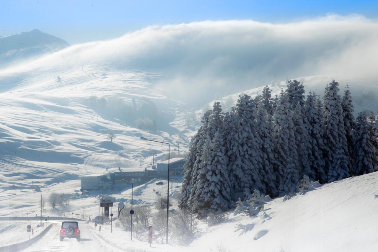 ホテル Agaoglu My Mountain ウルダグ エクステリア 写真